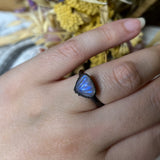 Rainbow Moonstone Shell Ring Size 8.5