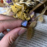 Rainbow Moonstone Shell Ring Size 8.5