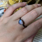 Rainbow Moonstone Shell Ring Size 12.5