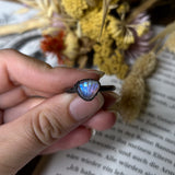 Rainbow Moonstone Shell Ring Size 12.5