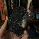 3.5" "Black Galaxy" Amethyst Cut Base Specimen