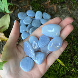 Blue Lace Agate Nuggets