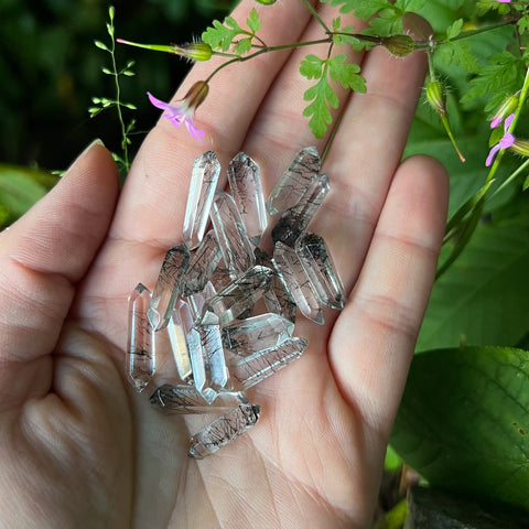 Mini Tourmalinated Quartz Points