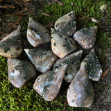 Jasper Freeforms