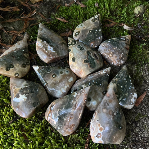 Jasper Freeforms