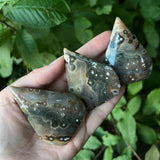 Jasper Freeforms