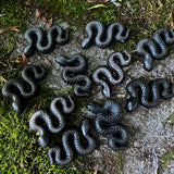 Silver Sheen Obsidian Snakes