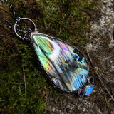 Harpy's Treasure