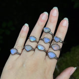 Wavemother Rings