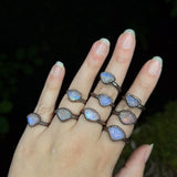 Wavemother Rings