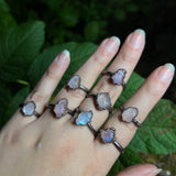 Oak Father Rings