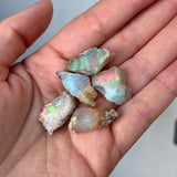 Rough Ethiopian Opal Chunks