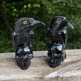 Onyx Raven on Skull Carvings