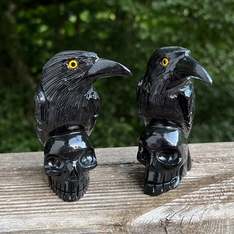 Onyx Raven on Skull Carvings