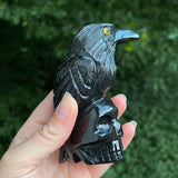 Onyx Raven on Skull Carvings
