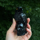Onyx Raven on Skull Carvings