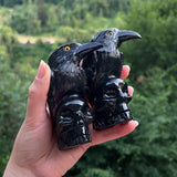 Onyx Raven on Skull Carvings
