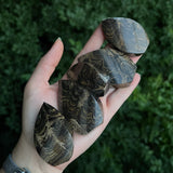 Stromatolite Freeforms