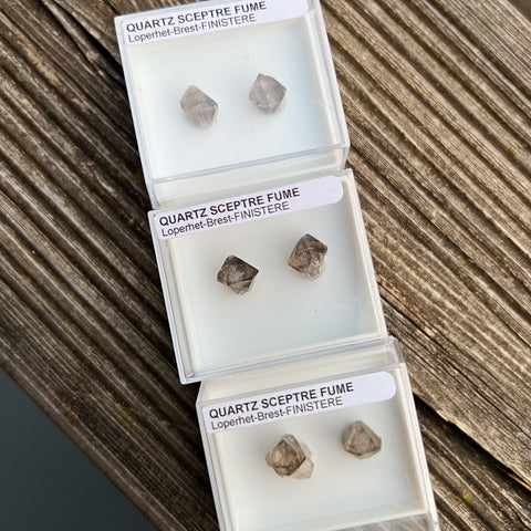 Smoky Quartz Crystal Pairs (France)