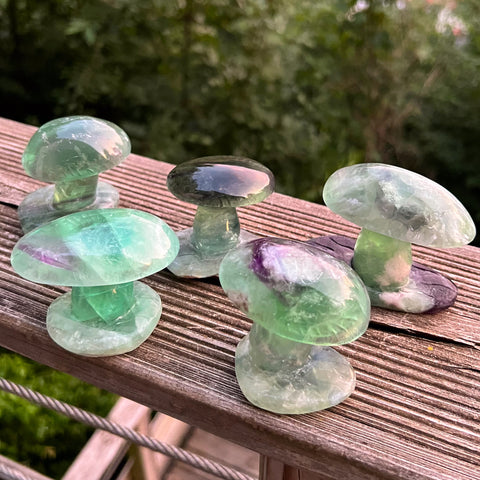 Fluorite Mushrooms