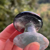 Fluorite Mushrooms