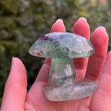 Fluorite Mushrooms