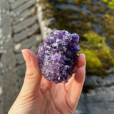 Uruguayan Amethyst Cluster