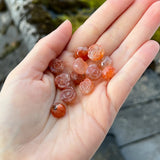 Sunstone Roses