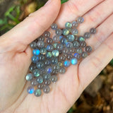 Mini Labradorite Spheres (Set of 5)