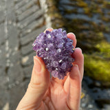 Uruguayan Amethyst Cluster