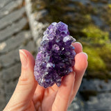 Uruguayan Amethyst Cluster